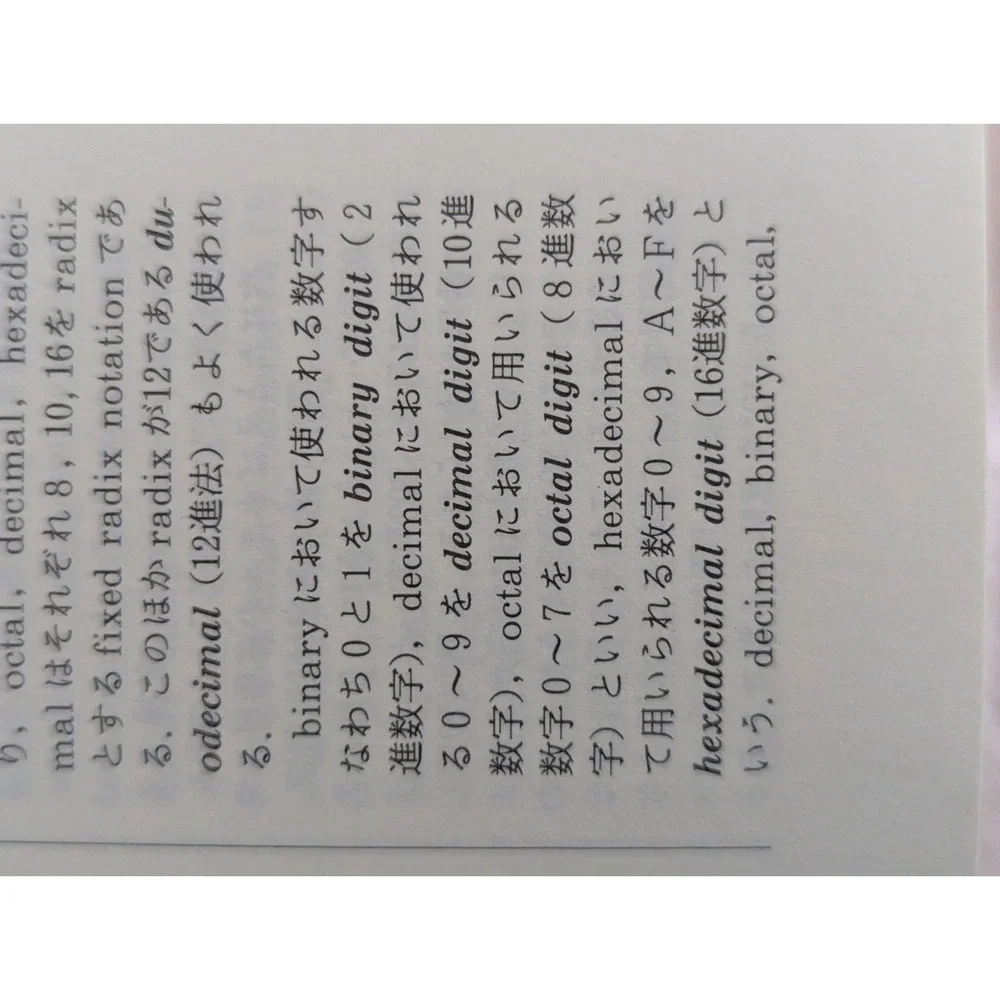 English Japanese Computer terminology dictionary software paperback book Hirahar